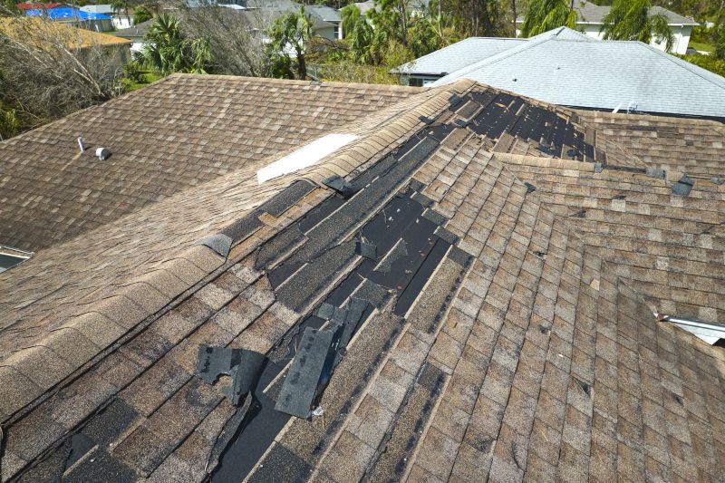 Roof Vent Repair